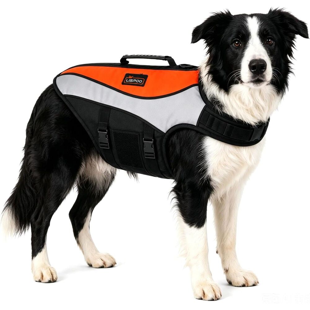 Dog Life Jacket for Swimming & Boating, Orange Black, M-L